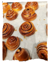 שושני שמרים